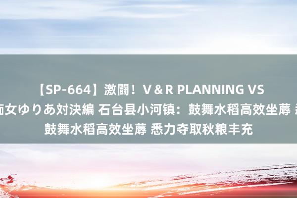 【SP-664】激闘！V＆R PLANNING VS MOODYZ 淫乱痴女ゆりあ対決編 石台县小河镇：鼓舞水稻高效坐蓐 悉力夺取秋粮丰充