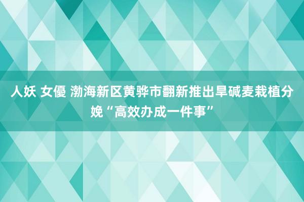人妖 女優 渤海新区黄骅市翻新推出旱碱麦栽植分娩“高效办成一件事”