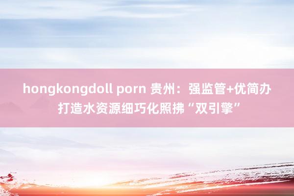 hongkongdoll porn 贵州：强监管+优简办 打造水资源细巧化照拂“双引擎”