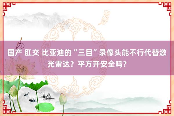 国产 肛交 比亚迪的“三目”录像头能不行代替激光雷达？平方开安全吗？