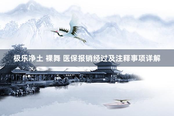 极乐净土 裸舞 医保报销经过及注释事项详解