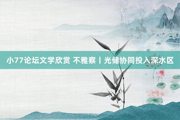 小77论坛文学欣赏 不雅察丨光储协同投入深水区