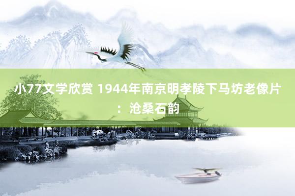 小77文学欣赏 1944年南京明孝陵下马坊老像片：沧桑石韵