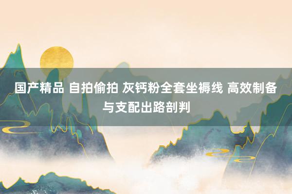 国产精品 自拍偷拍 灰钙粉全套坐褥线 高效制备与支配出路剖判