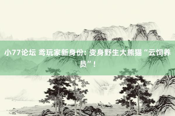 小77论坛 鸢玩家新身份: 变身野生大熊猫“云饲养员”!