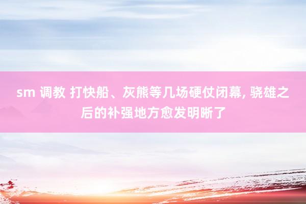 sm 调教 打快船、灰熊等几场硬仗闭幕, 骁雄之后的补强地方愈发明晰了